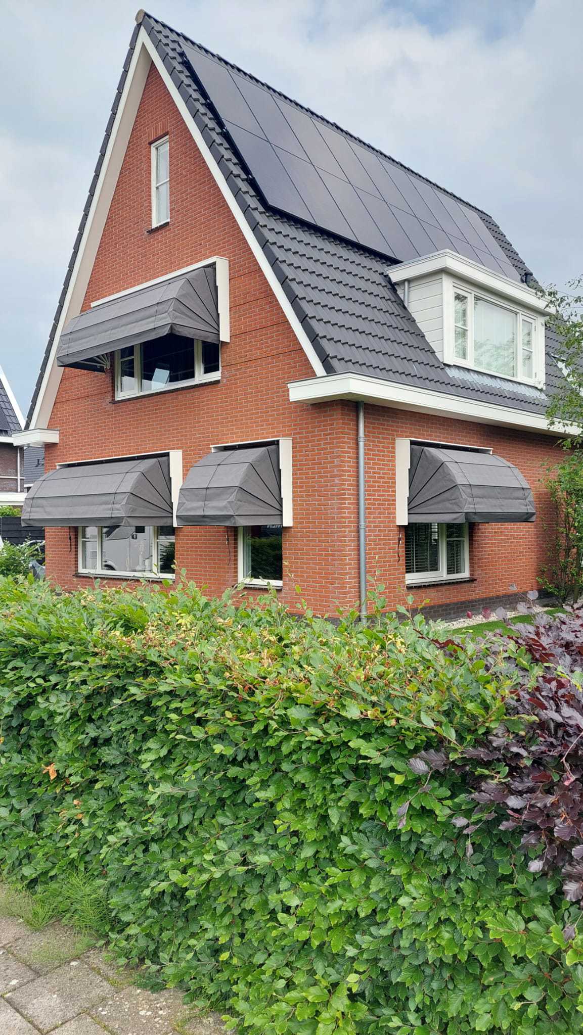 9517B235 9Cd1 468D 9Fc0 A4ef81fb5901